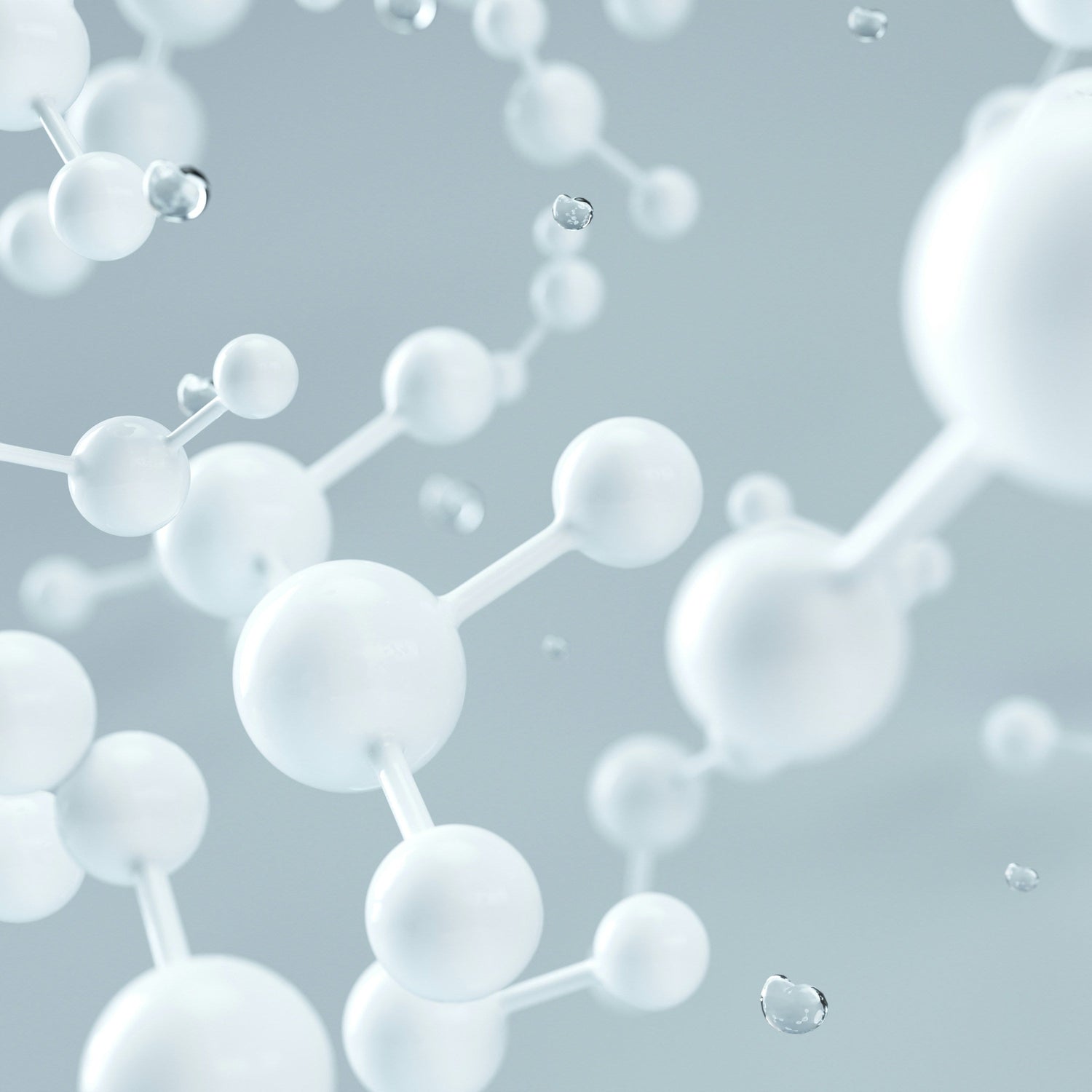 Poria_skin_peptide