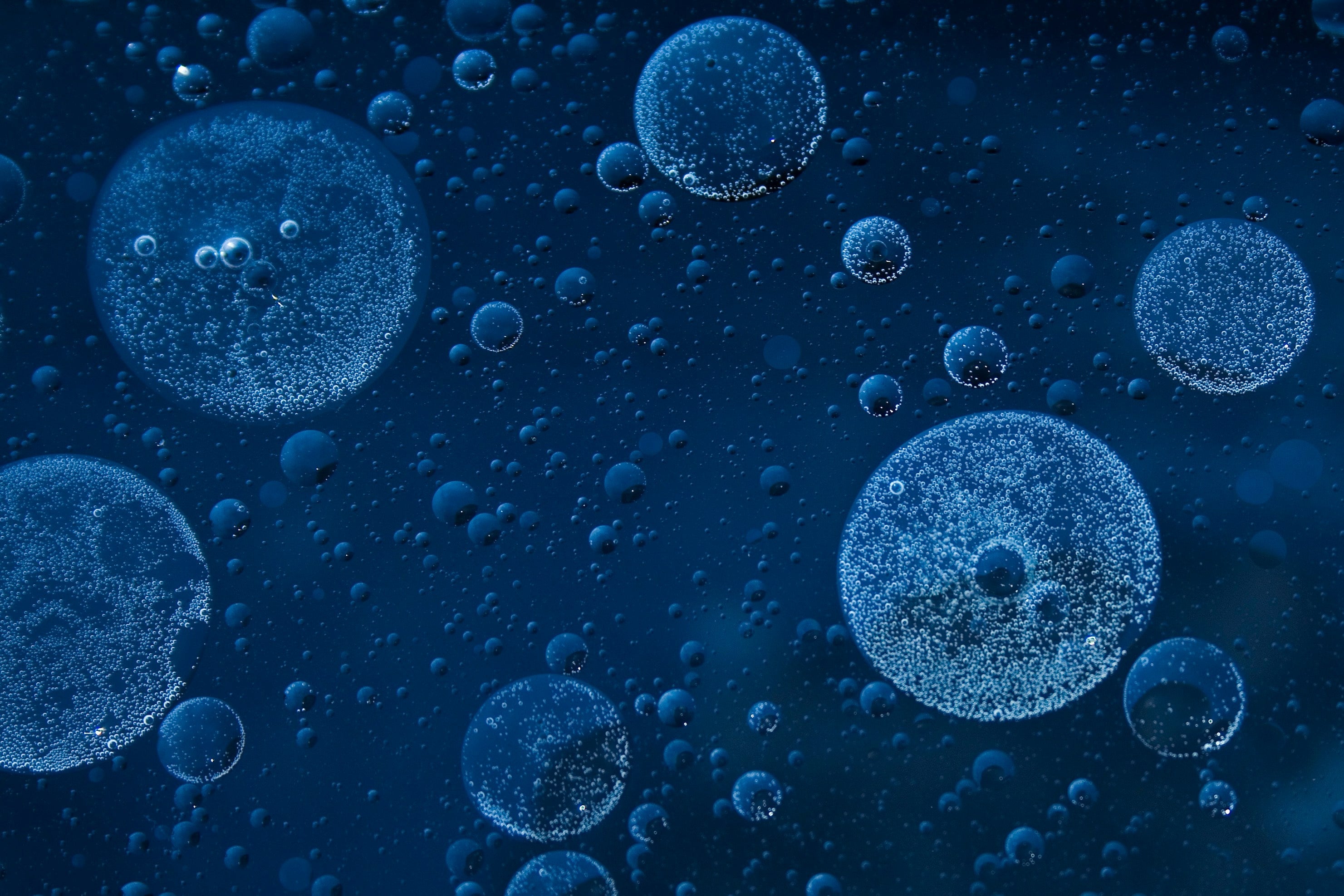 poria_skin_protein